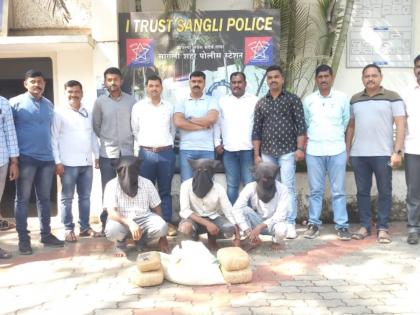 12 kg of ganja worth 2 lakh seized in Sangli, LCB, city police action | सांगलीत पावणे दोन लाखाचा बारा किलो गांजा जप्त, एलसीबी, शहर पोलिसांची कारवाई