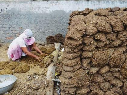 Dung houses remain safe even in nuclear attack | ‘अणु हल्ल्यातही शेणाची घरे राहतात सुरक्षित’