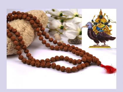 Shani Sadesati 2023: Rudraksha of Shiva Shambhu will protect from Sadesati of Shani; Read on when and how to use it! | Shani Sadesati 2023: शिव शंभुचे रुद्राक्ष करेल शनीच्या साडेसातीपासून रक्षण; त्याचा वापर कधी व कसा करतात ते वाचा!