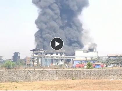 Massive fire at Mallak Specialty Company in Mahad MIDC raigad | BREAKING: महाड MIDC मध्ये मल्लक स्पेशालीटी कंपनीमध्ये भीषण आग, कारखाना जळून खाक; परिसरात घबराट