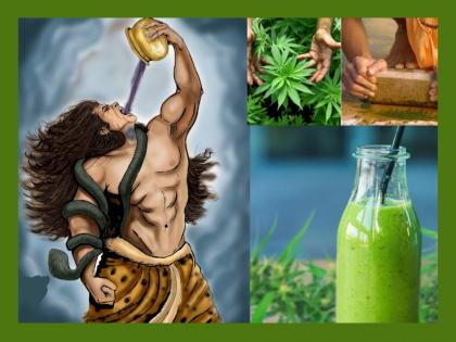 Maha Shivratri 2023: Mahadev drinks cannabis, so we should follow him? He also drank poison, so what about us? | Maha Shivratri 2023: महादेव भांग पितात, म्हणून आपण पिणे कितपत योग्य? त्यांनी हलाहलही प्यायलं होतं, मग आपलं काय?