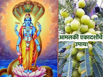 Amalaki Ekadashi 2023: Do Simple But Important Remedies for Wealth and Good Luck Today on Aamlaki Ekadashi! | Amalaki Ekadashi 2023: आज आमलकी एकादशीनिमित्त धनप्राप्तीसाठी आणि भाग्योदयासाठी करा सोपे पण महत्त्वाचे उपाय!