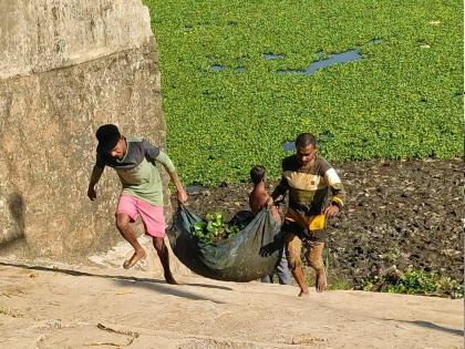 Activities of Ulhasnagar Municipal Corporation; Special campaign to remove aquatic plants from Ulhas river, river is getting clean | उल्हासनगर महापालिकेचा उपक्रम; उल्हास नदीतील जलपर्णी काढण्यासाठी विशेष मोहीम, नदी होतेय स्वच्छ