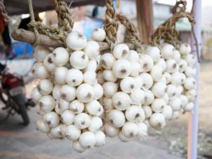 Alibaug white onion gained popularity after receiving the Geographical Indication | पांढऱ्या कांद्याला ‘अच्छे दिन’; अलिबागच्या कांद्याला भौगोलिक मानांकन मिळाल्यानंतर लोकप्रियता वाढली