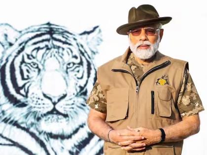 3,167 tigers in the country an increase of 200 Tiger census announced by Prime Minister modi | आता डरकाळी ३ हजार वाघांची; देशात ३,१६७ वाघ, २०० नी वाढली संख्या; पंतप्रधानांकडून व्याघ्रगणना जाहीर