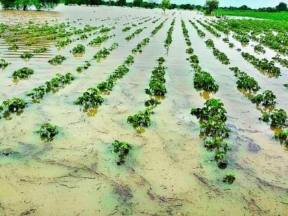 unseasonal rain in the state Crops on 28 thousand hectares in 14 districts are destroyed | राज्यात अवकाळीचा तिसरा तडाखा; १४ जिल्ह्यांमधील २८ हजार हेक्टरवरील पिके जमीनदोस्त