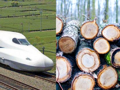 Slaughter of 1 thousand 828 trees for bullet train work | मुंबई-अहमदाबाद बुलेट ट्रेनच्या कामासाठी १ हजार ८२८ झाडांची कत्तल!