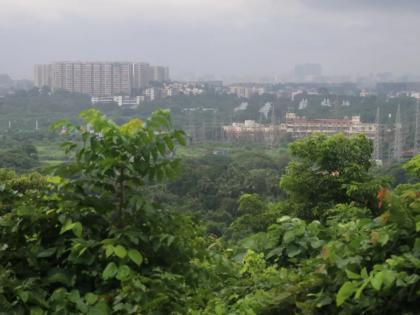 Let's make Mumbai greener together | चला, सगळ्यांनी मिळून करू या मुंबईला हिरवीगार