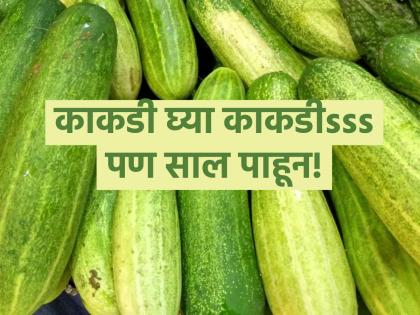 If you take a cucumber, only by looking at the peel; It won't be bitter at all, use these tips! | काकडी घ्याल तर, साल पाहूनच; अजिबात कडू निघणार नाही, वापरा या टिप्स!