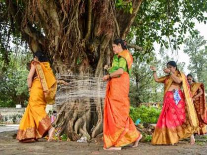 Vat Purnima 2023: Vat Purnima Puja The benefits of banyan tree are countless; Learn how! | Vat Purnima 2023: वटपौर्णिमेला पूजा वडाच्या झाडाची पण अगणित फायदे आपलेच; कसे ते जाणून घ्या!