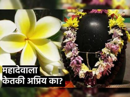 Shiv Puja: Why is the beautiful, delicate Ketki flower considered cursed? Why should Mahadev not flow it? Read the story behind it! | Shiv Puja: सुंदर, सुकोमल केतकीचे फुल शापित का मानले जाते? महादेवाला ते का वाहू नये? वाचा त्यामागची कथा!