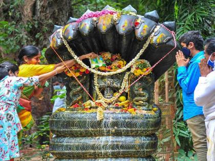 Nag Panchami 2023 : Why do we celebrate Nag Panchami? Learn the mythological context! | Nag Panchami 2023 : आपण नागपंचमी का साजरी करतो? जाणून घ्या पौराणिक संदर्भ!