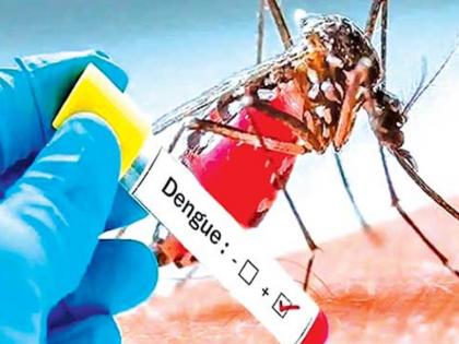 19 lakh fines for epidemics prosecutions against non-performing institutions | साथीच्या आजारांसाठी १९ लाखांचा दंड वसूल, कार्यवाही न करणाऱ्या संस्थांवर खटले