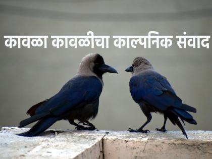 Pitru Paksha 2023: A fictional dialogue about what crows will be discussing when Pitru Paksha begins! | Pitru Paksha 2023: पितृपक्ष सुरू झाल्यावर कावळ्यांमध्ये काय चर्चा होत असेल हे सांगणारा काल्पनिक संवाद!