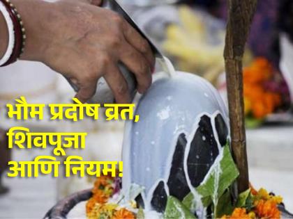 Bhaum Pradosh 2024: Don't miss 'these' things while doing Shiva Puja on Bhaum Pradosh today! | Bhaum Pradosh 2024: आज भौम प्रदोषानिमित्त शिव पूजा करताना चुकूनही करू नका 'या' गोष्टी!