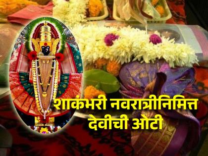 Shakambhari Navratri 2024: How to take blessings of Goddess on Friday and Tuesday of Shakambhari Navratri by following rituals? Find out! | Shakambhari Navratri 2024: शाकंभरी नवरात्रीच्या शुक्रवारी तसेच मंगळवारी देवीची कशी भरावी ओटी? जाणून घ्या!