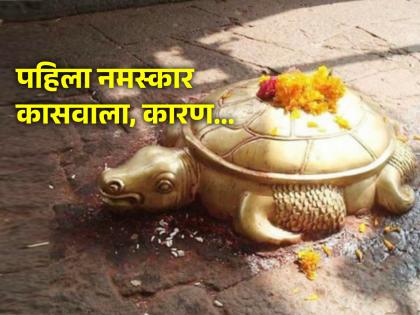 Temple Rituals: Do you know why the first salutation to the turtle is done before God in the temple? Read because... | Temple Rituals: मंदिरात देवाआधीही पहिला नमस्कार कासवाला का करतात माहितीय? वाचा कारण... 