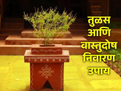 Vastu Tips: Things placed near Tulsi are not causing Vastu Dosha in the house? Find out! | Vastu Tips: तुळशीजवळ ठेवलेल्या वस्तू तर घरात वास्तू दोष निर्माण करत नाहीयेत ना? जाणून घ्या!