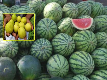 lemon rs10 per kg watermelone rs 25 per kg and Shahale rs 50 per kg in summer seasone | लिंबू १० रुपये एक, तर कलिंगड २५ रुपये किलो : शहाळे झाले ५० रुपये