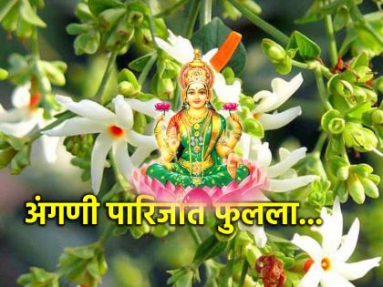 Astro Tips: Plant Parijat tree, get rid of Vastu Dosh; Know the importance of the tree that bestows the grace of Goddess Lakshmi! | Astro Tips: प्राजक्ताचे झाड लावा, वास्तुदोष घालवा; लक्ष्मी मातेची कृपा देणाऱ्या झाडाची महती जाणून घ्या!