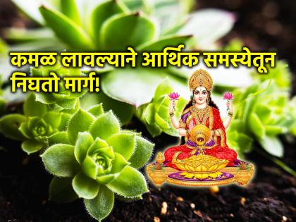 Vastu Tips: जिथे कमळ फुलते तिथे सौभाग्यलक्ष्मी नांदते; पहा चुंबकाप्रमाणे पैसा आकर्षून घेणारी रोपं!