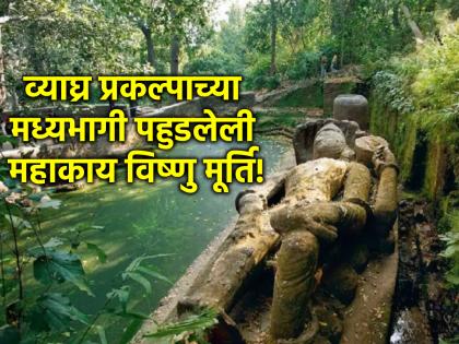 Varuthini Ekadashi 2024: 65ft Giant Vishnu Idol Resting in Bandhavgarh National Park! | Varuthini Ekadashi 2024: बांधवगडच्या राष्ट्रीय उद्यानात विश्रांती घेत आहे ६५ फूट लांब महाकाय विष्णू मूर्ती!