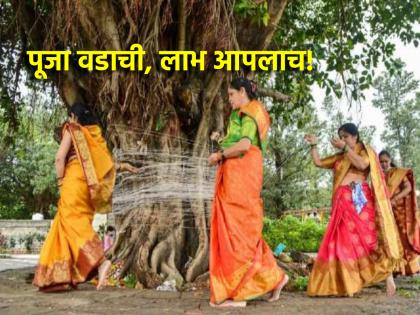 Vat Purnima 2024: Realize the innumerable benefits of worshiping the banyan tree, not the banyan branch! | Vat Purnima 2024: वडाच्या फांदीला नाही, तर वटवृक्षाला पुजण्याचे अगणित फायदे लक्षात घ्या!