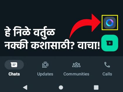 Technology: What exactly is the blue circle seen on WhatsApp, Instagram, Facebook for? find out | Technology: WhatsApp, Instagram, FB वर दिसणारं निळं वर्तुळ नेमकं कशासाठी? जाणून घ्या