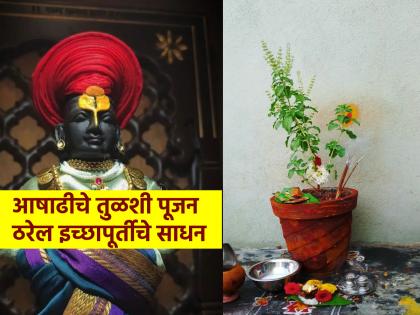 Ashadhi Ekadashi 2024: Wishes will be fulfilled by worshiping Tulsi on Ashadhi; But remember to avoid 'this' one mistake! | Ashadhi Ekadashi 2024: आषाढीला तुळशी पूजेने होईल इच्छापूर्ती; मात्र 'ही' एक चूक आठवणीने टाळा!