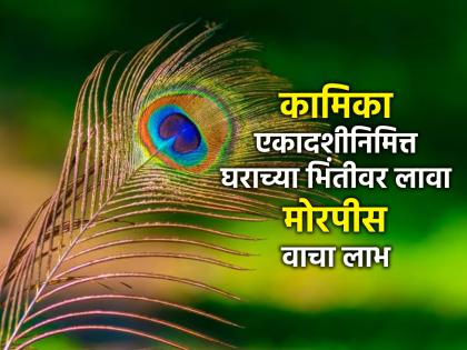 Kamika Ekadashi 2024: आज कामिका एकादशीनिमित्त घरी आणा मोरपीस; वैवाहिक जीवन होईल सुखी-आनंदी!