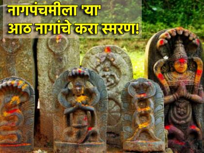 Nag Panchami 2024: Remember these eight snakes on Nag Panchami to avoid the fear of premature death! | Nag Panchami 2024: अकाली मृत्यूची भीती टळावी म्हणून नाग पंचमीला करा 'या' आठ नागांचे स्मरण!