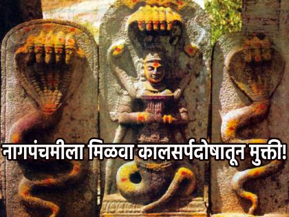 Nag Panchami 2024: On the day of Nag Panchami 'this' remedy gets rid of Kalsarp Dosh! | Nag Panchami 2024: नागपंचमीच्या दिवशी 'हे' उपाय केले असता दूर होतो कालसर्प दोष!