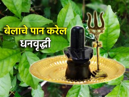 Shravani Somvar 2024: This year's Shravani Monday use wood apple leaf dedicated to Lord Mahadev 'like this' for wealth increase | Shravani Somvar 2024: श्रावणी सोमवारी महादेवाला वाहिलेल्या बेलाच्या पानाचा धनवृद्धीसाठी 'असा' करा उपयोग