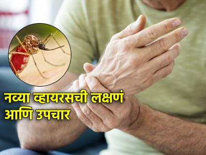 Health Tips: First joint pain, then headache, then fever; Read Chikungunya Symptoms and Home Remedies! | Health Tips: आधी सांधे दुखी, मग डोकंदुखी, मग ताप; वाचा पुण्यातील नव्या व्हायरसची लक्षणं व उपचार!