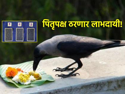 Tarot Card: The period of Pitrupaksha will be beneficial, obstructed work will be done on the way; Choose your tarot card! | Tarot Card: पितृपक्षाचा काळ ठरणार लाभदायी, अडलेली कामे लागणार मार्गी; निवडा तुमचे टॅरो कार्ड!