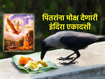 Indira Ekadashi 2024: Know the different significance of Ekadashi coming in Pitrupaksha! | Indira Ekadashi 2024: पितृपक्षात येणार्‍या एकादशीचे आगळे वेगळे महत्त्व जाणून घ्या!