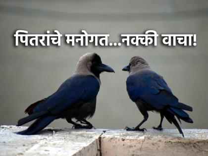 PItru Paksha 2024: Imaginary Crow-Crow interaction at the door in Pitru Paksha! | PItru Paksha 2024: पितृपक्षात दारावर येणार्‍या कावळा-कावळीचा काल्पनिक संवाद!