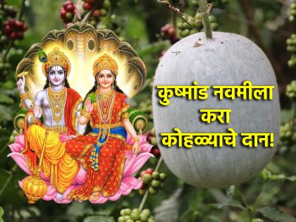 Kushmanda Navami 2024: Donate kohl on November 10; Get the grace of Vishnu Lakshmi! | Kushmanda Navami 2024: १० नोव्हेंबर रोजी कोहळ्याचे दान करा; विष्णूलक्ष्मीची कृपा मिळवा!