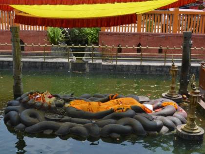 Safala Ekadashi 2024: Let's learn from 'this' Vishnu Shloka how to be 'successful' by staying calm, meditative! | Safala Ekadashi 2024: शांत, ध्यानमग्न राहून 'सफल' कसं व्हायचं ते 'या' विष्णूश्लोकातून जाणून घेऊ!