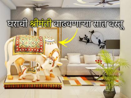 Vastu Shastra: धनवृद्धी देणाऱ्या 'या' सात वस्तू घराची श्रीमंती वाढवतात; तुम्हीही घेऊन या!