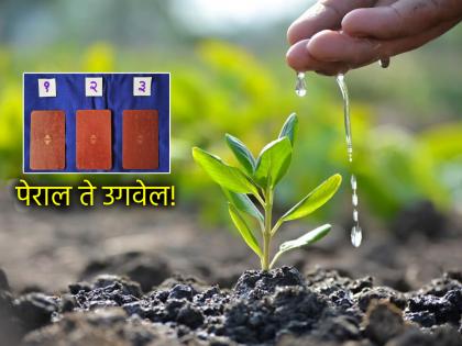 Tarot Card: A week that shows that 'what you sow will reap'; Read your weekly tarot fortune! | Tarot Card: 'पेराल ते उगवेल' याची प्रचिती देणारा आठवडा; वाचा साप्ताहिक टॅरो भविष्य! Tarot Card: A week that shows that 'what you sow will reap'; Read your weekly tarot fortune! | Tarot Card: 'पेराल ते उगवेल' याची प्रचिती देणारा आठवडा; वाचा साप्ताहिक टॅरो भविष्य!