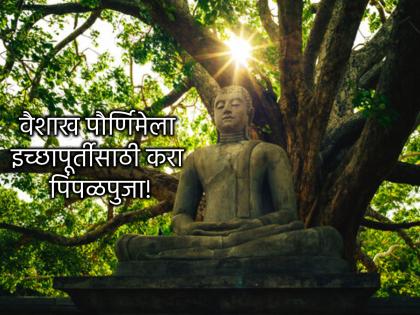 Vaishakh Purnima 2025: Worship Peepal on Vaishakh Purnima; This Bodhi tree will fulfill your wishes too! | Vaishakh Purnima 2025: वैशाख पौर्णिमेला करा पिंपळाची पुजा; हा बोधीवृक्ष करेल तुमचीही इच्छापूर्ती! Vaishakh Purnima 2025: Worship Peepal on Vaishakh Purnima; This Bodhi tree will fulfill your wishes too! | Vaishakh Purnima 2025: वैशाख पौर्णिमेला करा पिंपळाची पुजा; हा बोधीवृक्ष करेल तुमचीही इच्छापूर्ती!