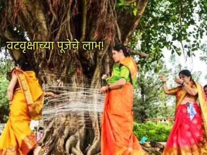 Vat Purnima 2025: Worship the Banyan tree not only for good luck, but also for longevity! | Vat Purnima 2025: केवळ सौभाग्यासाठी नाही, तर दीर्घायुष्यासाठी करा वटवृक्षाची पुजा! Vat Purnima 2025: Worship the Banyan tree not only for good luck, but also for longevity! | Vat Purnima 2025: केवळ सौभाग्यासाठी नाही, तर दीर्घायुष्यासाठी करा वटवृक्षाची पुजा!