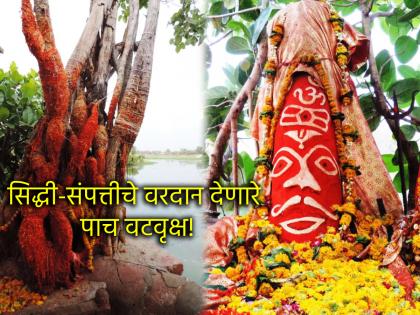 Vat Purnima 2025: Visit these five ancient banyan trees at least once in your life; you will get success and wealth! | Vat Purnima 2025: आयुष्यात एकदा तरी 'या' पाच पुरातन वटवृक्षाला आवर्जून फेऱ्या मारा; मिळेल सिद्धी-संपत्ती! Vat Purnima 2025: Visit these five ancient banyan trees at least once in your life; you will get success and wealth! | Vat Purnima 2025: आयुष्यात एकदा तरी 'या' पाच पुरातन वटवृक्षाला आवर्जून फेऱ्या मारा; मिळेल सिद्धी-संपत्ती!