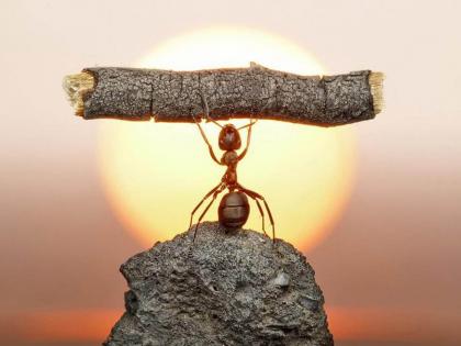 Chanakyaniti: Always remember the 3 rules given by Acharya Chanakya to be successful! | Chanakyaniti: यशस्वी होण्यासाठी कायम लक्षात ठेवा आचार्य चाणक्य यांनी सांगितलेले 3 नियम! Chanakyaniti: Always remember the 3 rules given by Acharya Chanakya to be successful! | Chanakyaniti: यशस्वी होण्यासाठी कायम लक्षात ठेवा आचार्य चाणक्य यांनी सांगितलेले 3 नियम!