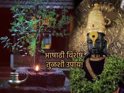 Ashadhi Ekadashi 2025: आषाढीला करा तुळशीचे 'हे' उपाय आणि पूजन, ते ठरेल इच्छापूर्तीचे साधन!