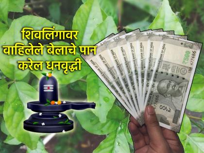 Shravan Somvar 2025: Do not throw away the betel leaf offered to Lord Shiva, it will increase wealth! | Shravan Somvar 2025: महादेवाला वाहिलेले बेलाचे पान टाकू नका, तेच करेल धनवृद्धी!