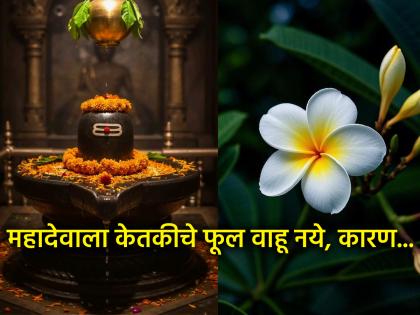 Shravan Somvar 2025: Ketki flowers should not be offered to Lord Shiva; there is a mythological story behind it! | Shravan Somvar 2025: महादेवाला केतकीची फुले वाहू नये; त्यामागे आहे एक पौराणिक कथा!