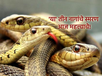 Nag Panchami 2025: Remembering these three serpents from mythology gives freedom from snake sin! | Nag Panchami 2025: पौराणिक कथांमधील 'या' तीन नागांचे स्मरण केल्याने मिळते सर्पदोषातून मुक्ती!