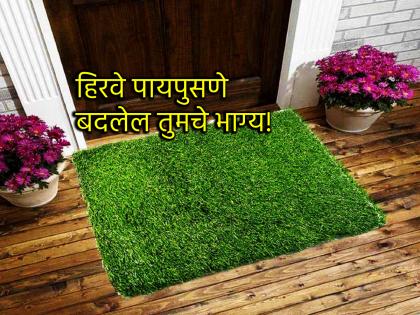 Vastu Tips: Why should the doormat placed at the door be green? Does it really bring good luck? | Vastu Tips: दारात ठेवण्याचे पायपुसणे हिरव्याच रंगाचे का असावे? खरंच होतो का भाग्योदय?